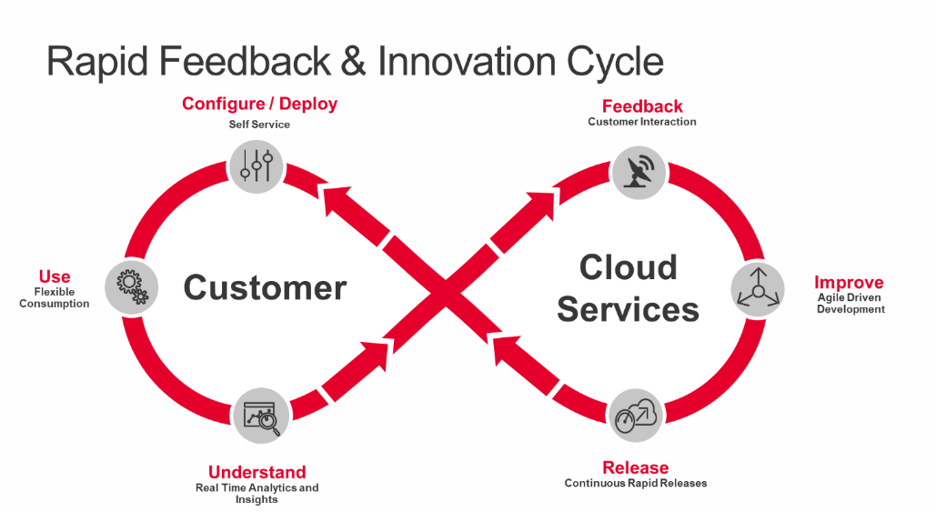 Rapid Feedback & Innovation Cycle