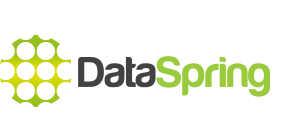 DataSpring logo