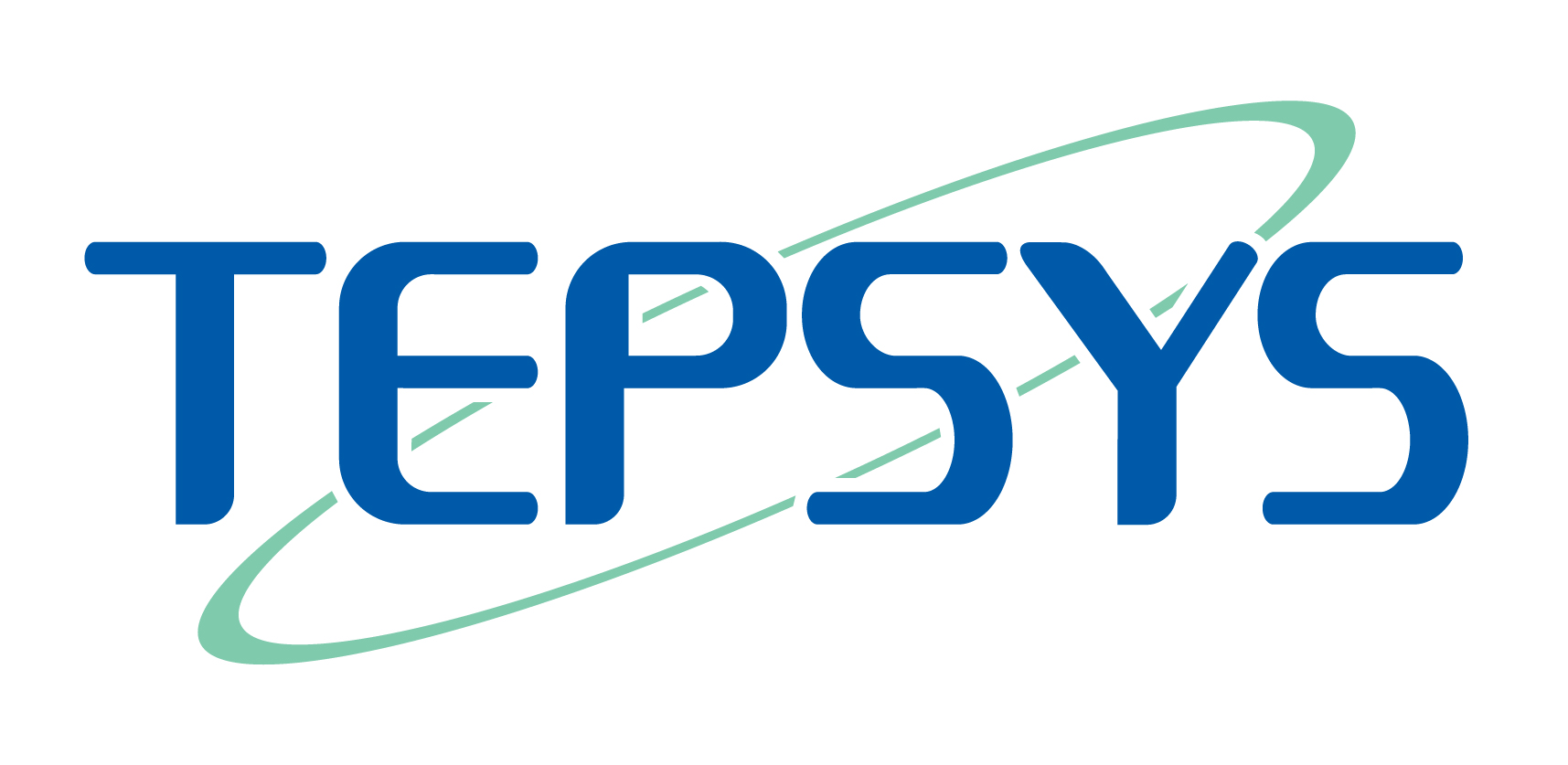 TEPCO SYSTEMS logo