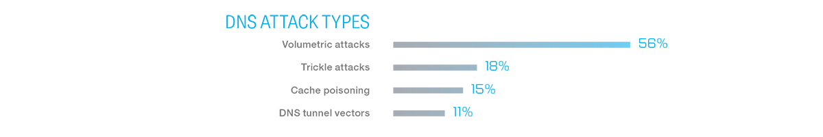 DNS attack types and risks